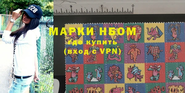 шишки Медвежьегорск