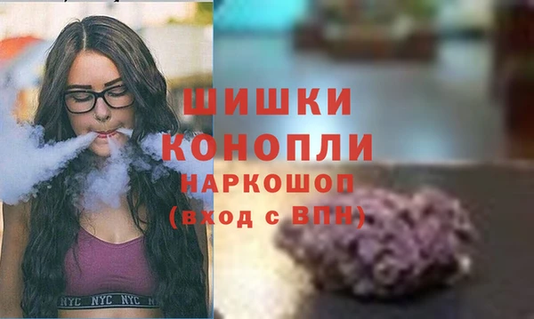 шишки Медвежьегорск