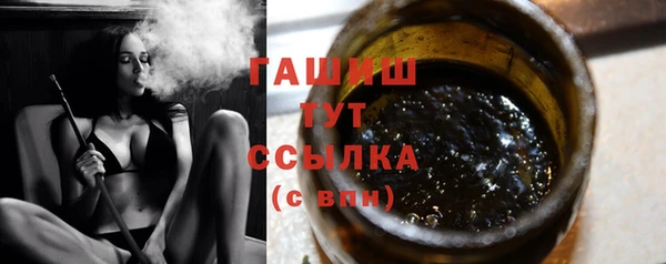 шишки Медвежьегорск