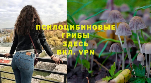 герыч Медногорск