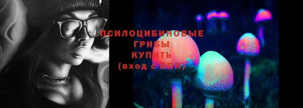 шишки Медвежьегорск