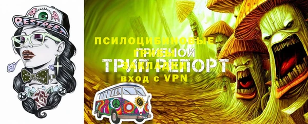 герыч Медногорск