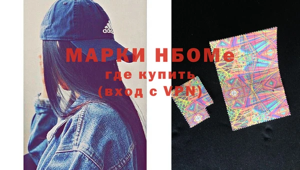 шишки Медвежьегорск