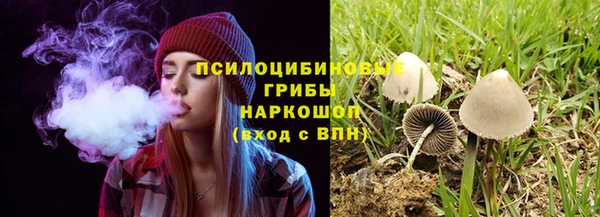 ПСИЛОЦИБИНОВЫЕ ГРИБЫ Мегион