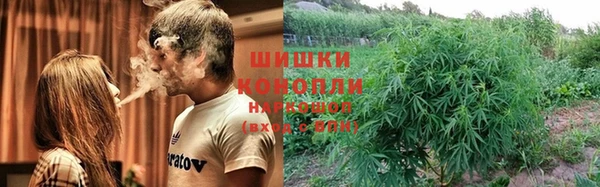 шишки Медвежьегорск