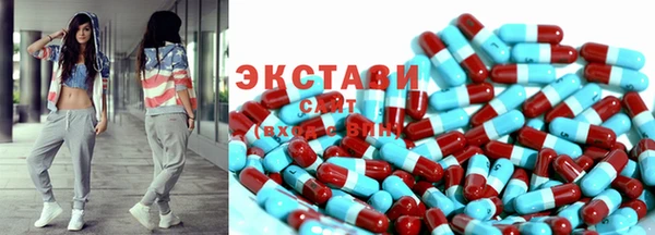 шишки Медвежьегорск