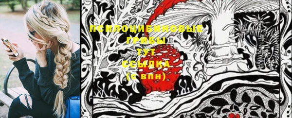 ПСИЛОЦИБИНОВЫЕ ГРИБЫ Мегион