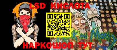 ПСИЛОЦИБИНОВЫЕ ГРИБЫ Новозыбков