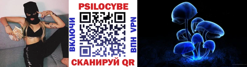 Галлюциногенные грибы мицелий  купить наркотик  Черногорск 