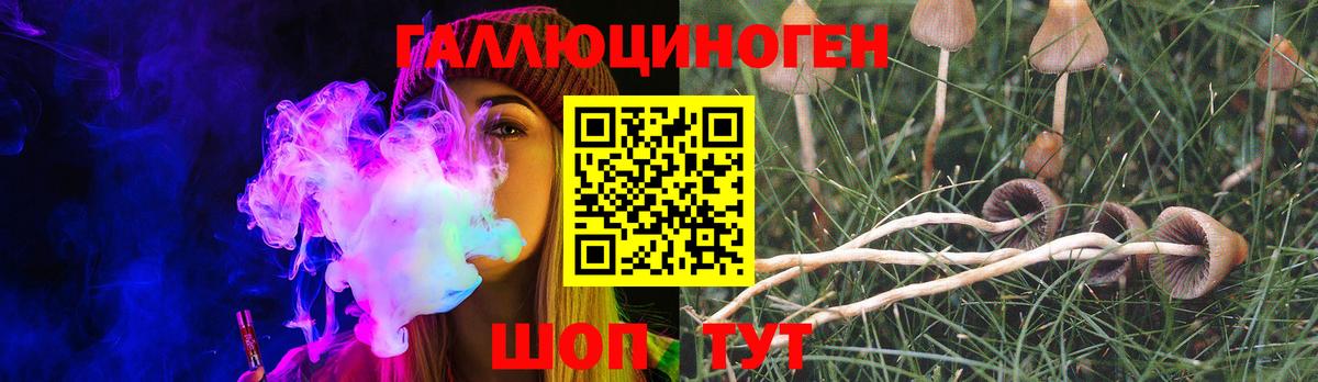Черногорск  Галлюциногенные грибы Cubensis  Вход с VPN 